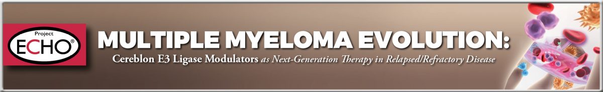 HM_81L_Banner V2